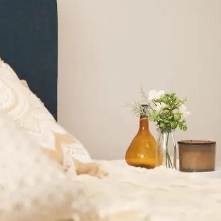 Modern Nest Timisoara Timisoara