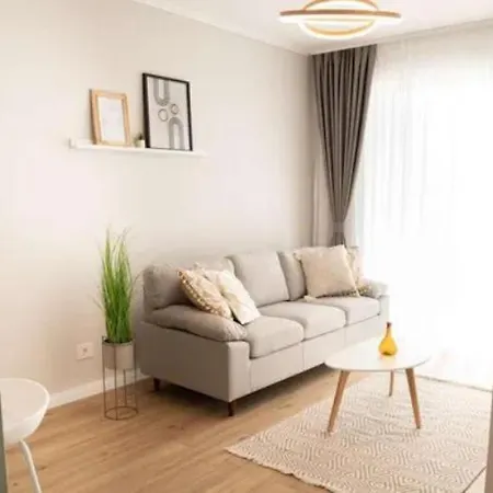 Modern Nest Timisoara Apartment